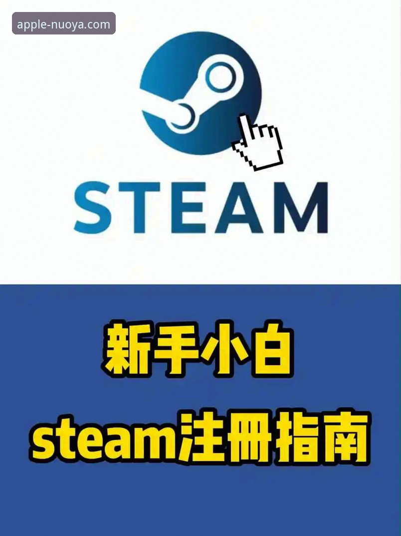 诺亚体育官方最新版下载与注册全流程操作教程