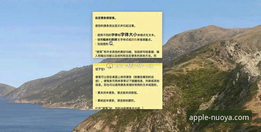 深度揭秘诺亚体育平台：官网下载与高效使用全技巧